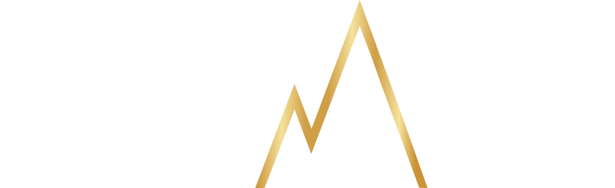 Connect To Elevate